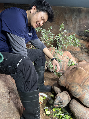 student feeding giant tortoise